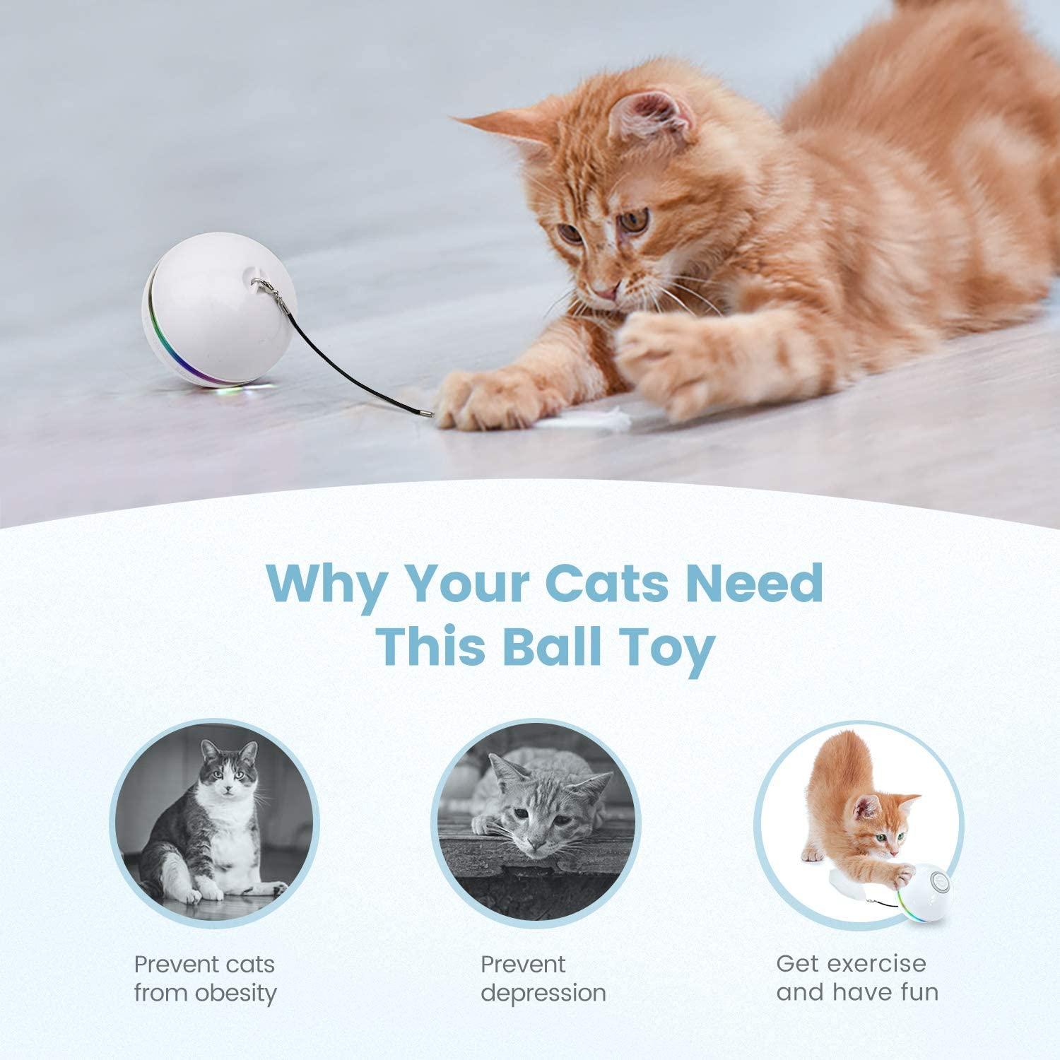 Cat Toy, bóng tự động quay tự động 360 độ với đèn LED có thể sạc lại USB Tương tác điện Increet đồ chơi cho chó Chatons