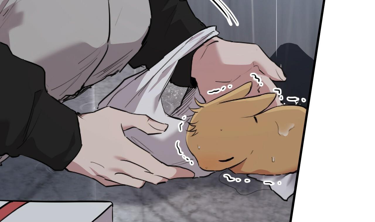 đàn thỏ của habibi chapter 35 27