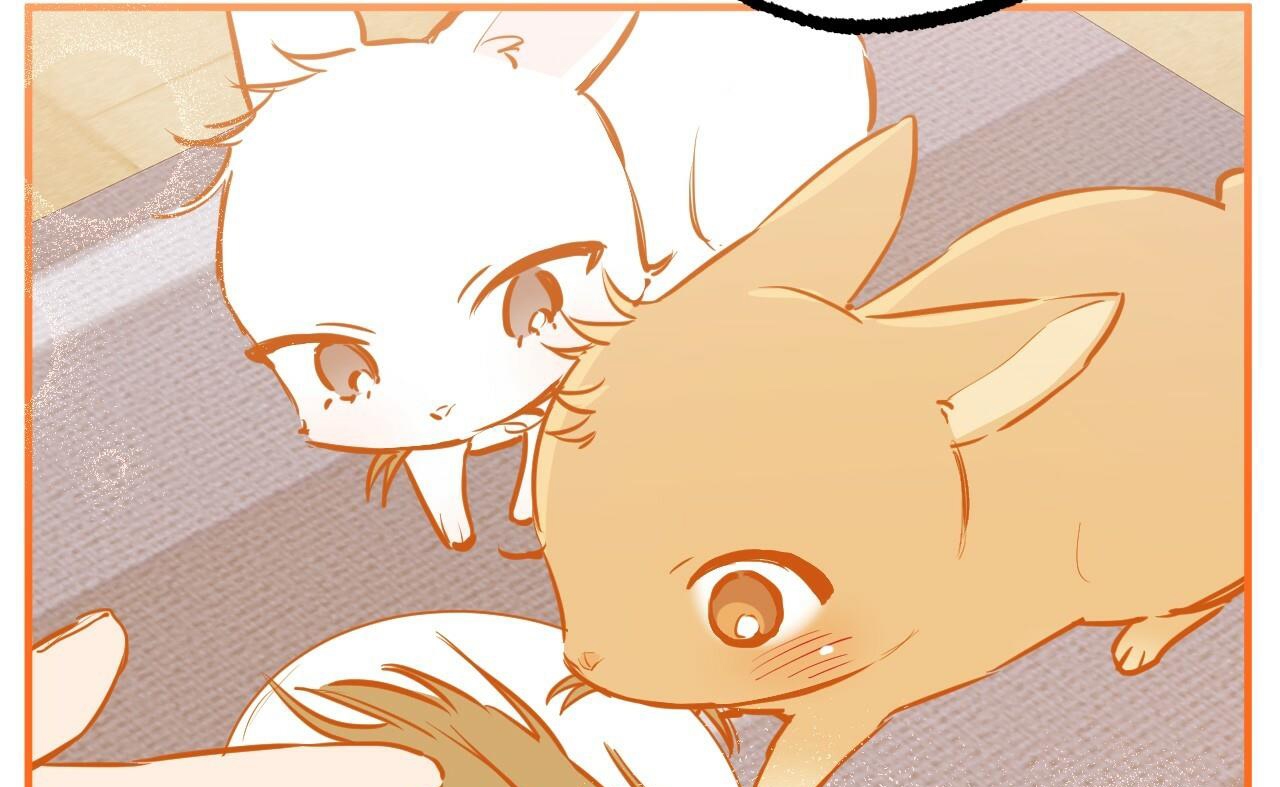 đàn thỏ của habibi chapter 41 119