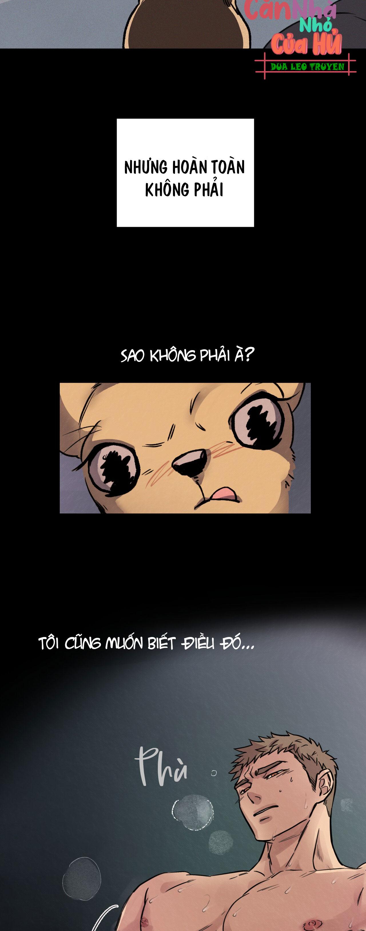 mật gấu chapter 1 7