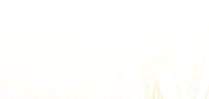 từ lúc bắt đầu tôi vẫn luôn ở bên em chapter 33.1 47