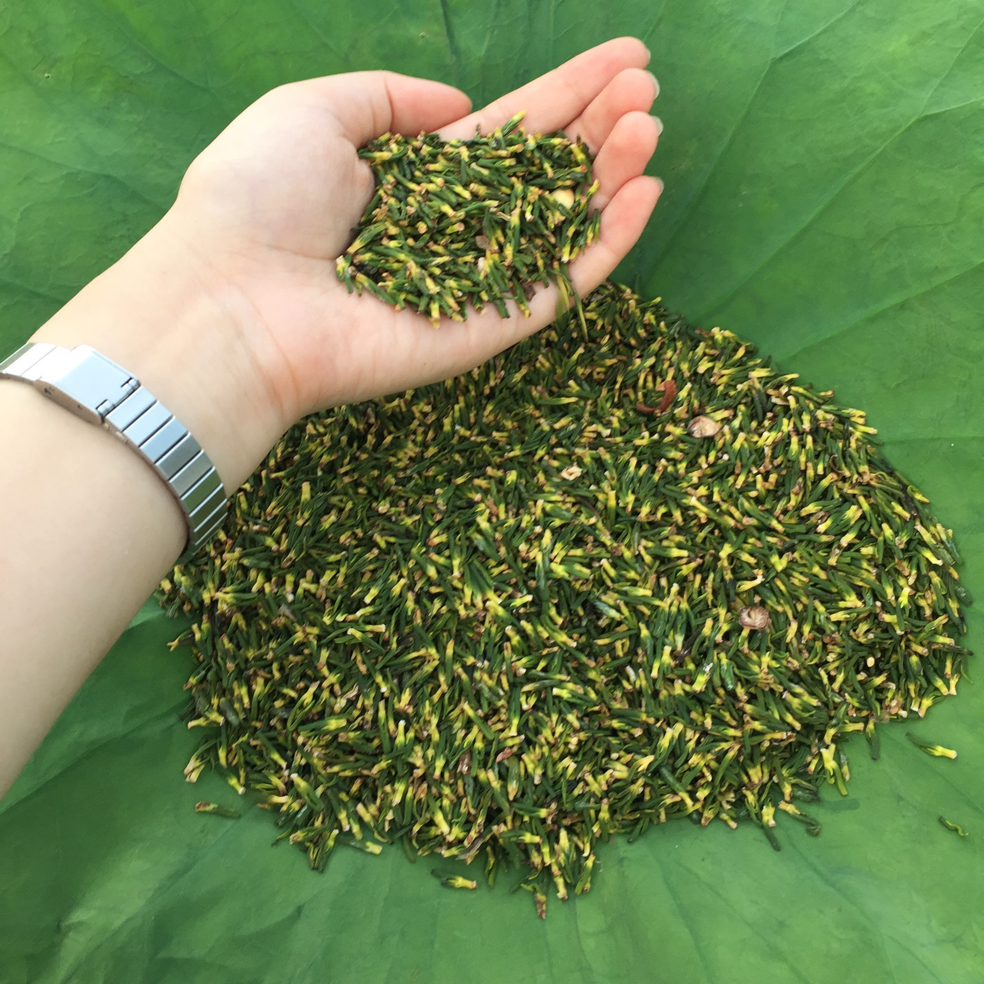 Trà tâm sen Mộc Truly Hue's, trà tim sen, trà tâm sen giúp an thần dễ ngủ túi 100gr