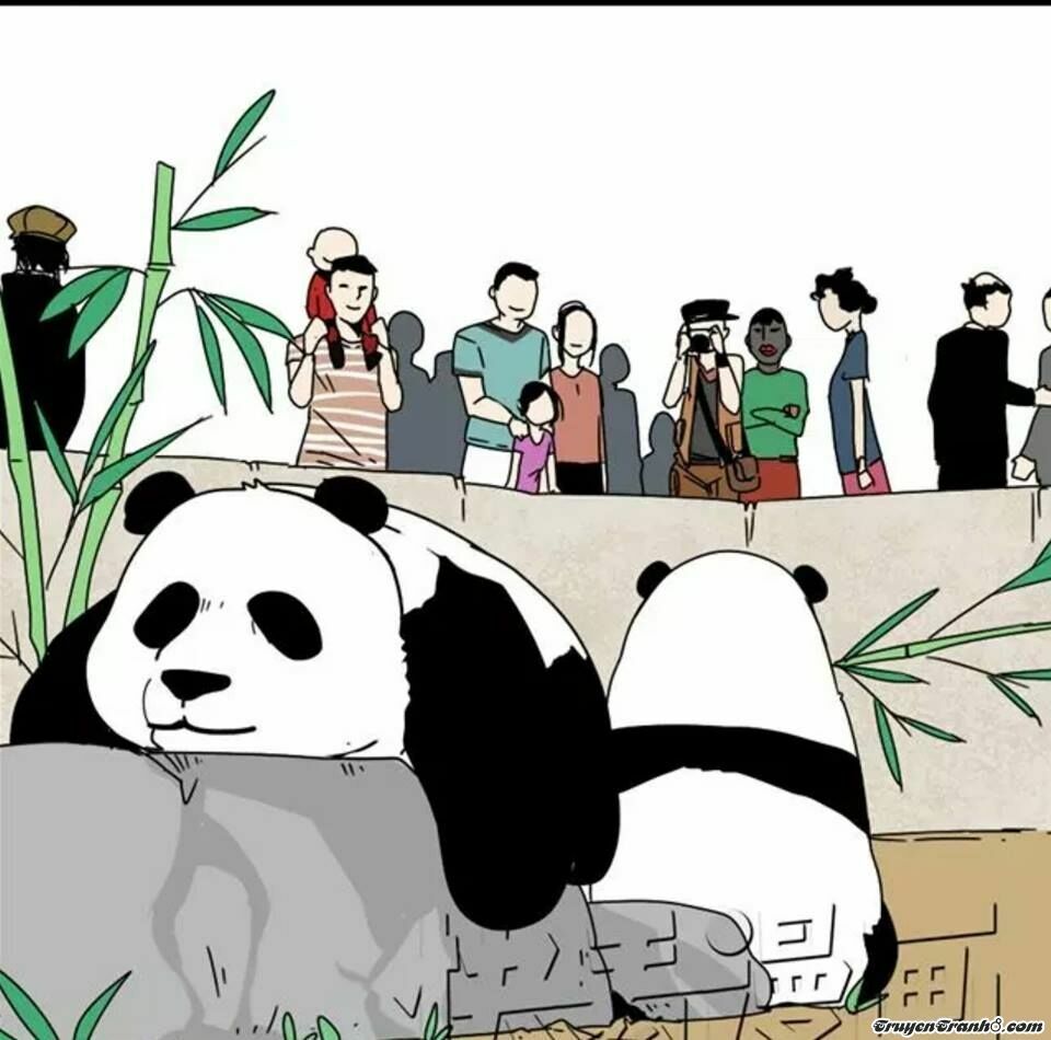 ứng dụng thẩm mỹ chapter 6 17