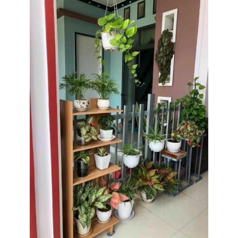 Kệ Góc Tường Gỗ Ép Công nghiệp Cao Cấp Bền Đẹp 5 Tầng kê sách
