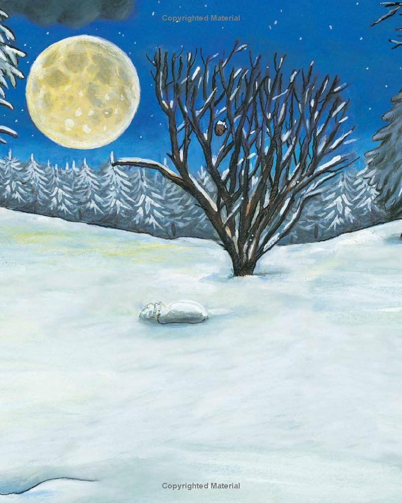 Sách ngoại văn: The Gruffalo's Child 20th Anniversary Edition