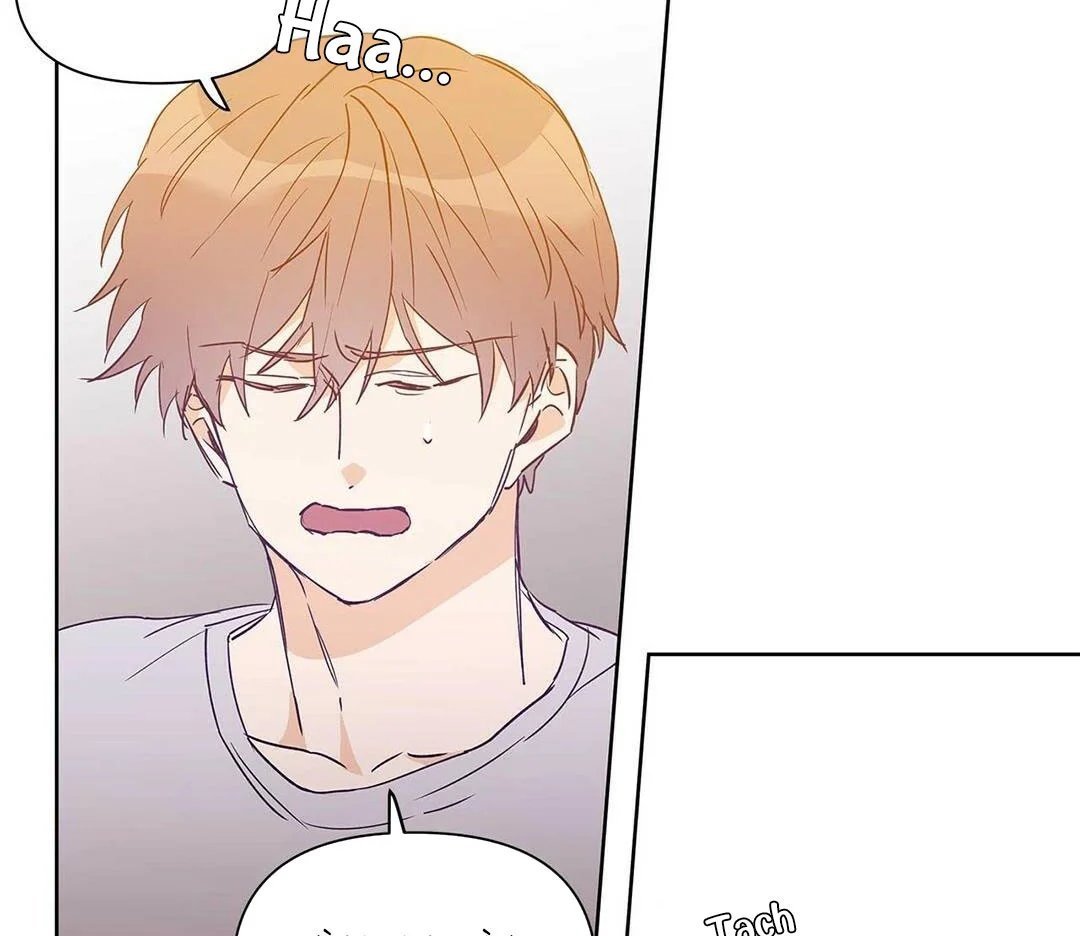 guide cấp b chapter 23 46