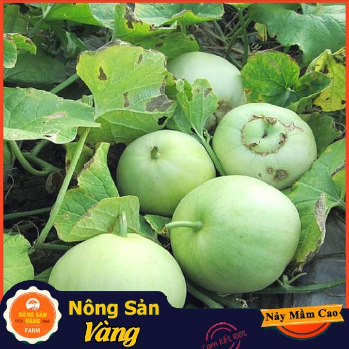 Hạt giống Dưa Lê Siêu Ngọt