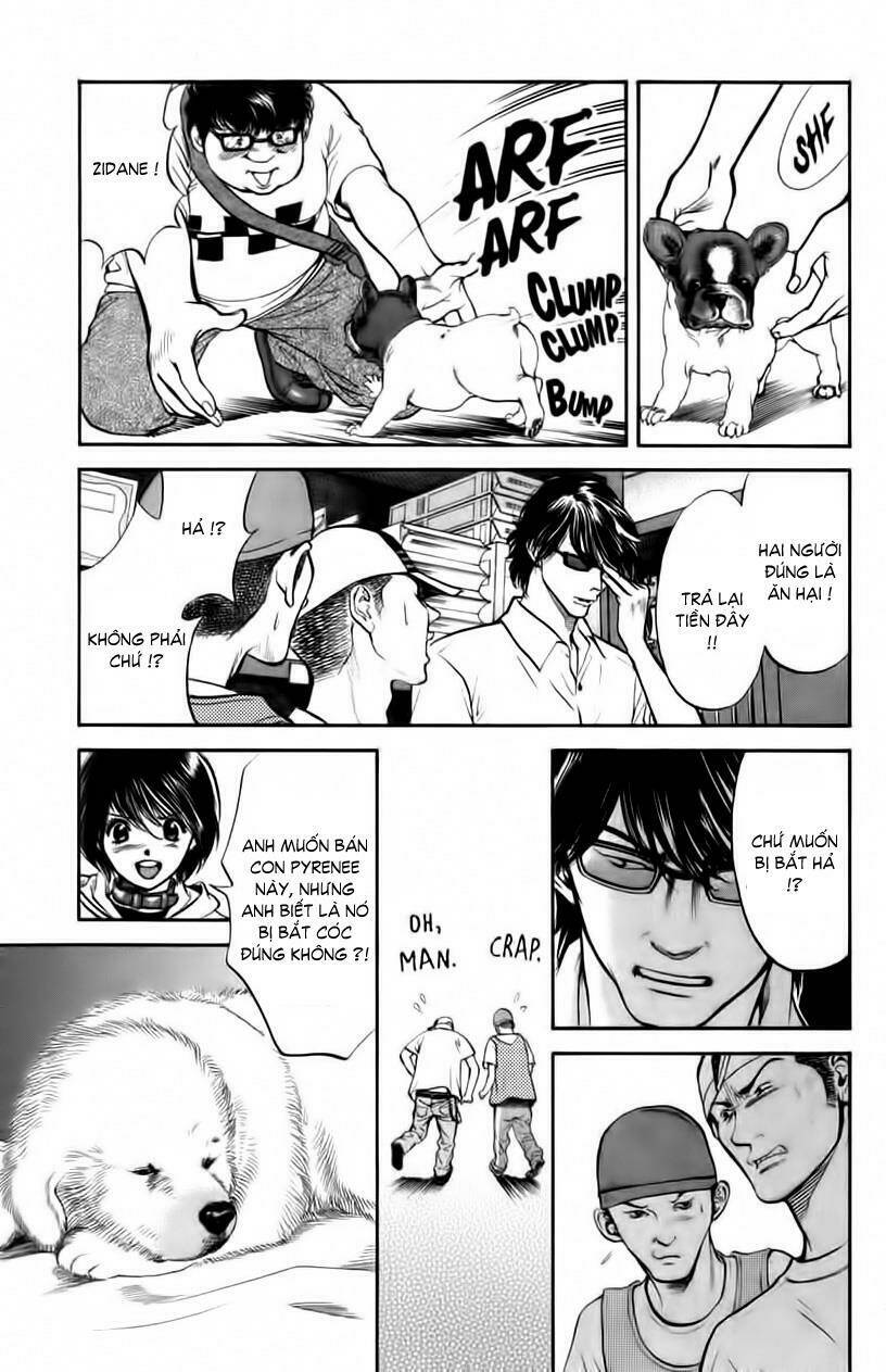 cô nàng yêu chó chapter 29 3