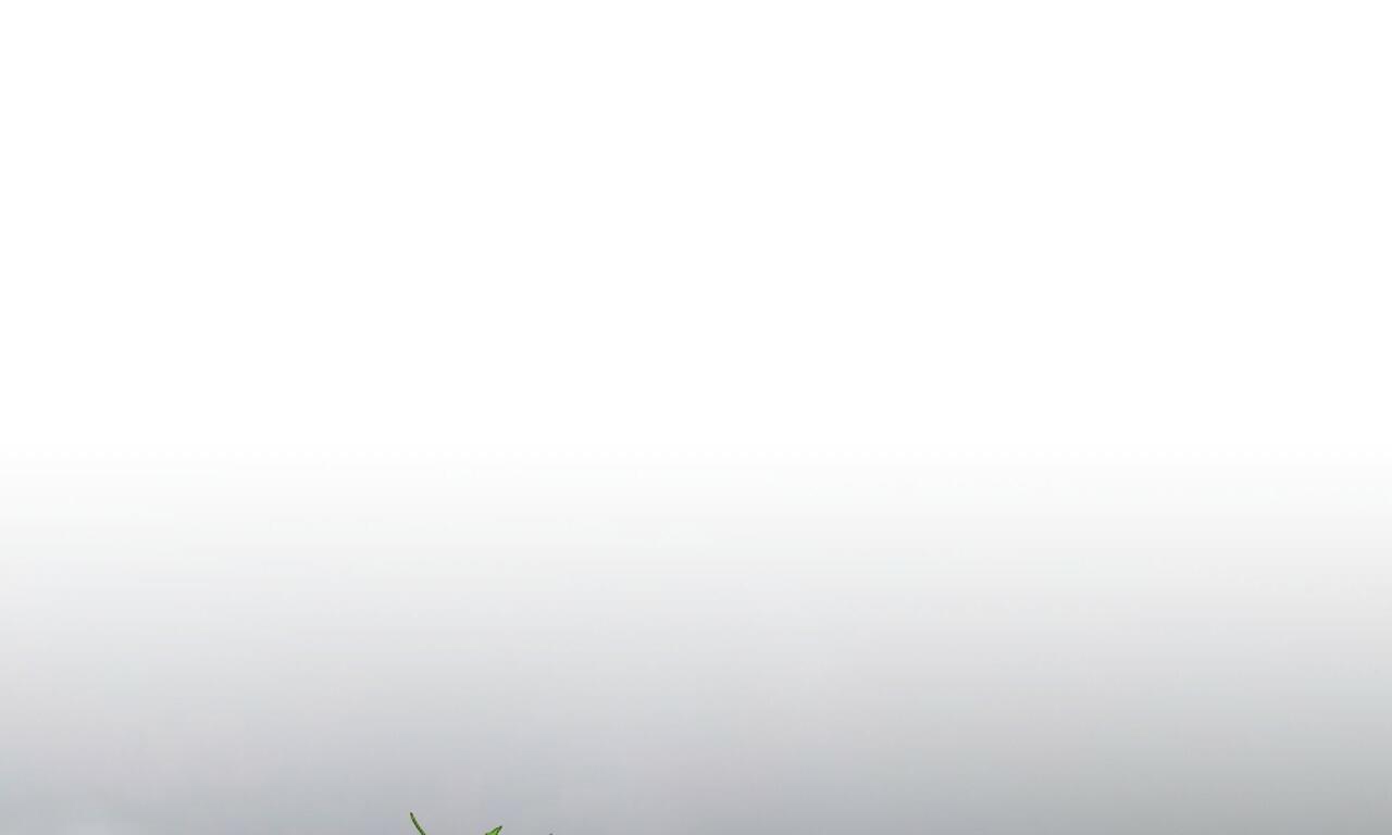 đàn thỏ của habibi chapter 55 18