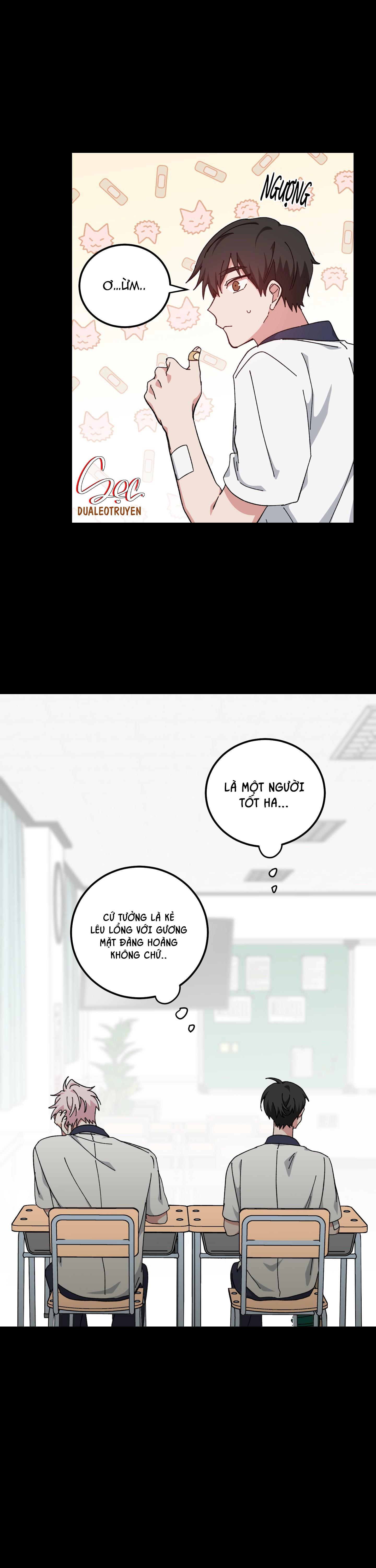 yêu tôi đi, thần hộ mệnh chapter 34 12