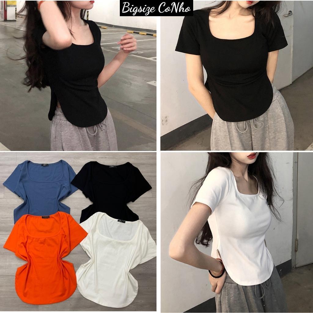 Áo thun bigsize nữ tay ngắn cổ tròn đuôi bầu croptop vải thun borip co giãn A25