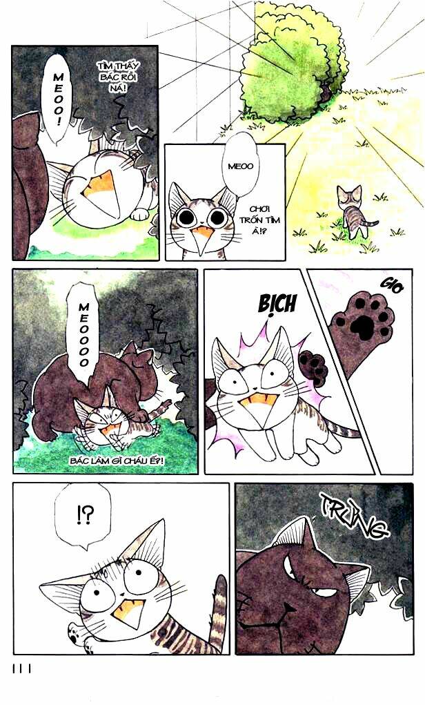 chi's sweet home chapter 34 5