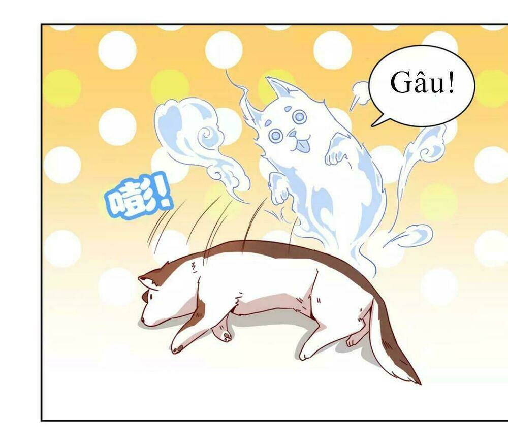 vương diệp, đuôi của ngươi đã biến mất chapter 1 65