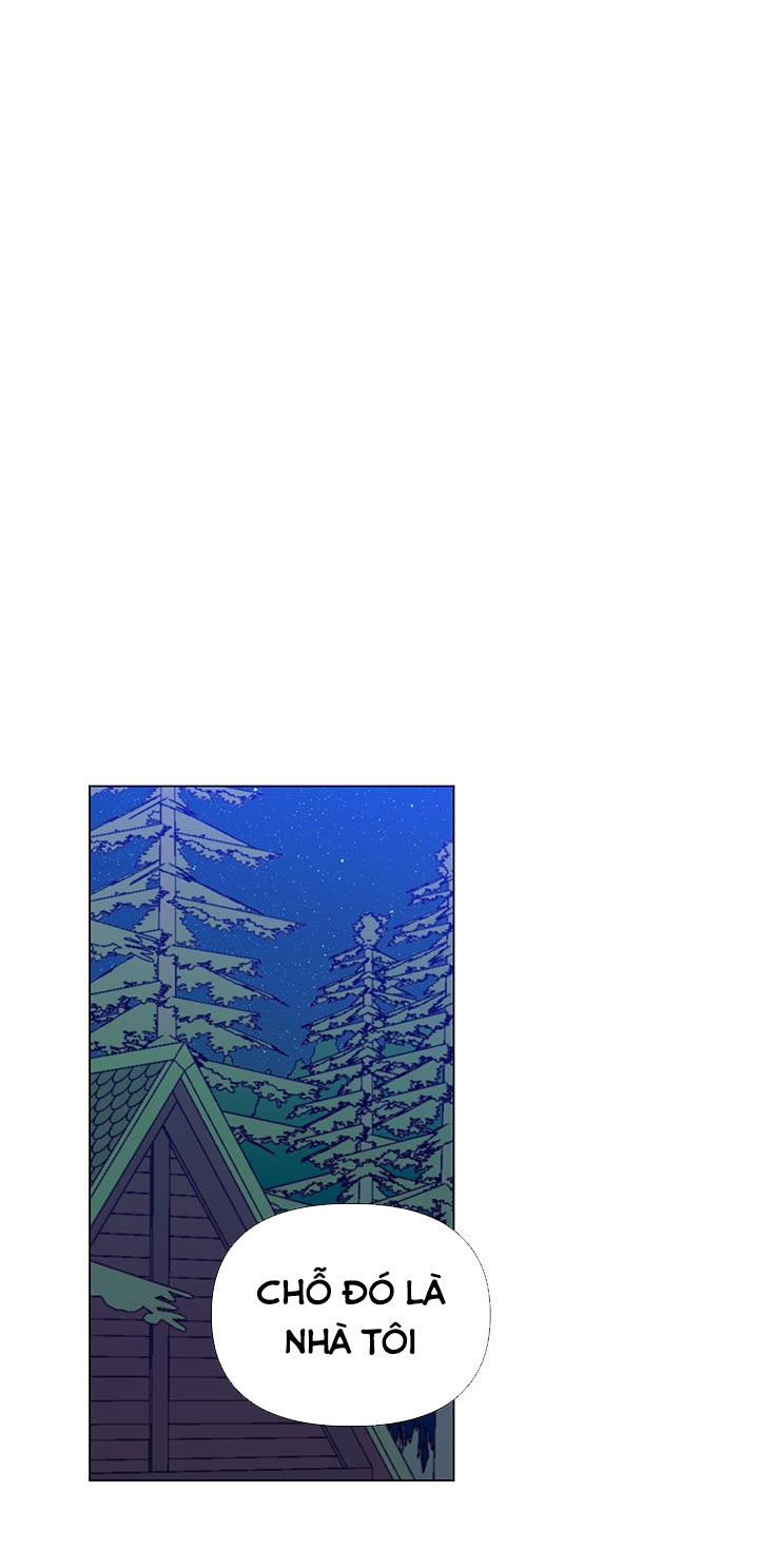 elizabeth chapter 11 15