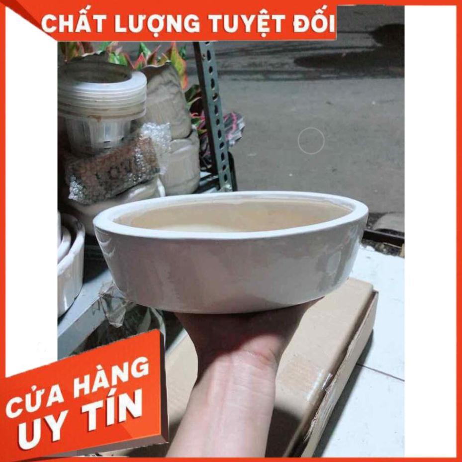 Chậu Trồng Cây Nhiều Người Mua