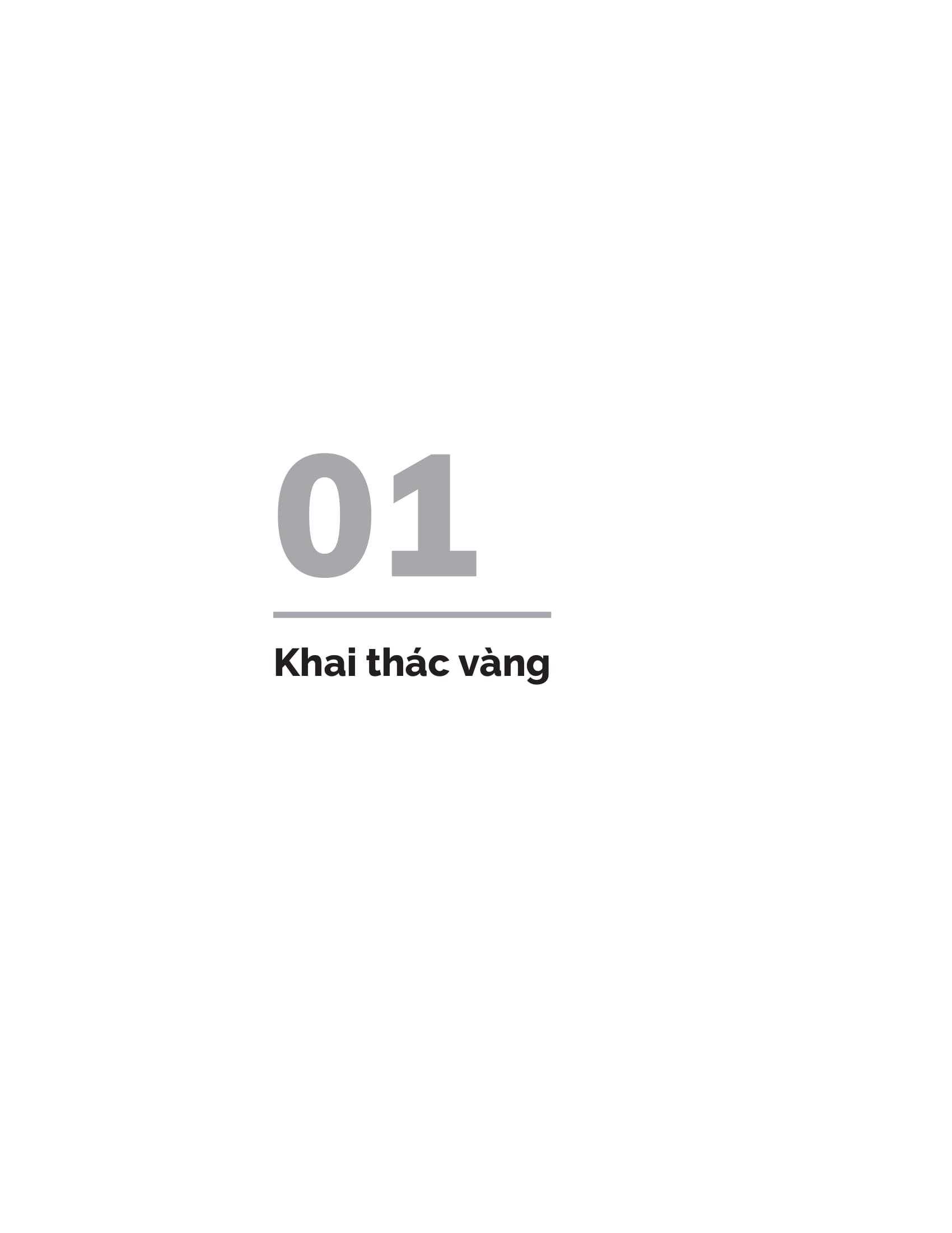Đầu Tư Vào Vàng - Khoản Đầu Tư Tuyệt Đối An Toàn Thiết Yếu Cho Mọi Danh Mục Đầu Tư (Tái Bản 2024)