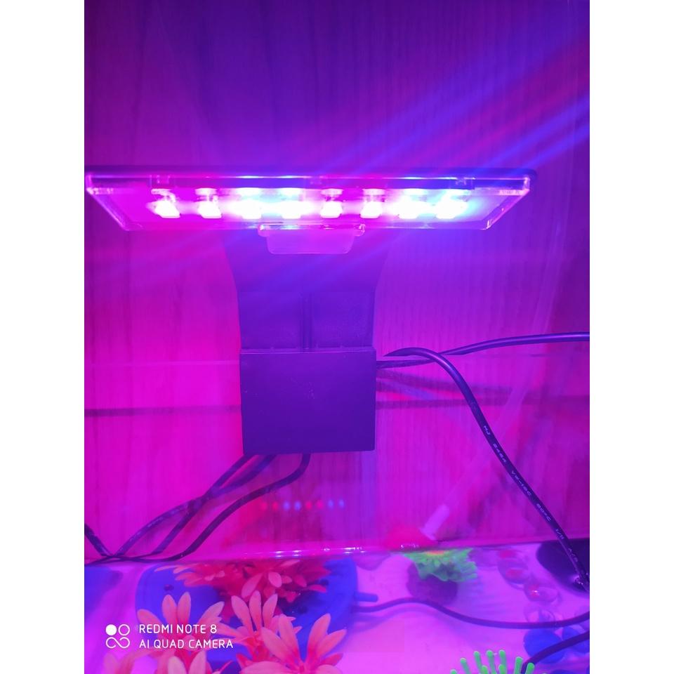ĐÈN LED KẸP MINI X3 GeBo- Đổi Màu - ĐÈN THUỶ SINH CHO HỒ 20-30cm Đèn Led kẹp thành bể cá dáng cong, sang trọng