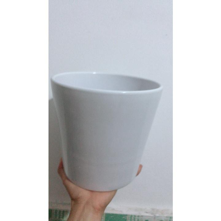 Chậu Sứ Trồng Cây