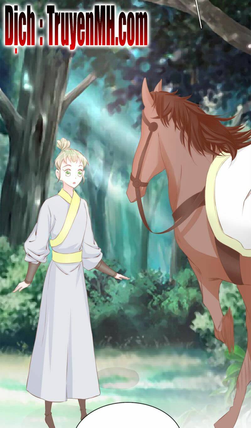 solo đi vương gia chapter 138 15
