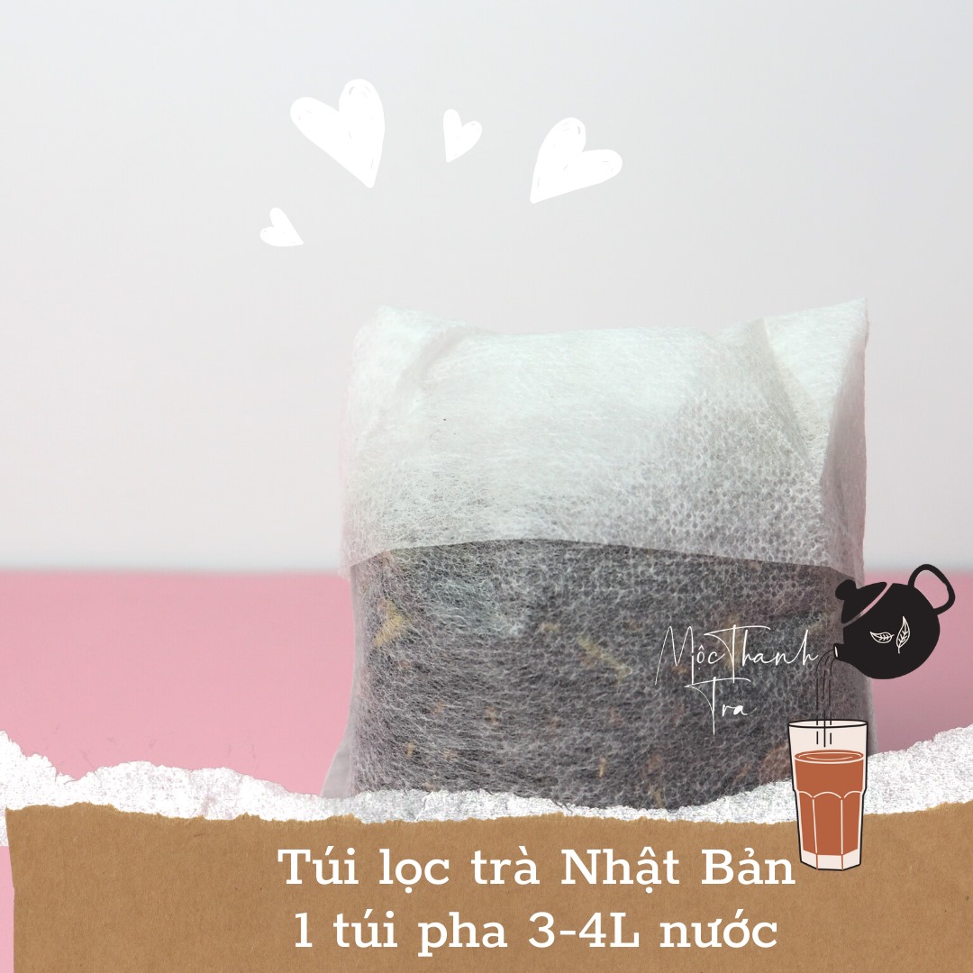 Đậu đen xanh lòng rang mộc - cỏ ngọt - hà thủ ô 100Gram (Dùng Thử Túi lọc 50G) Mộc Thanh Trà 