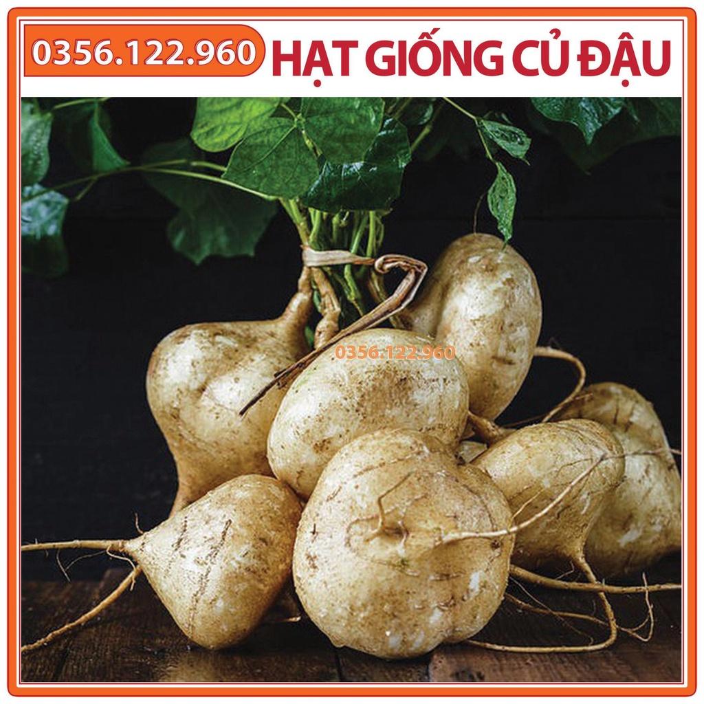 Hạt giống củ đậu cao sản - gói 200g - Hạt đậu chất lượng F1