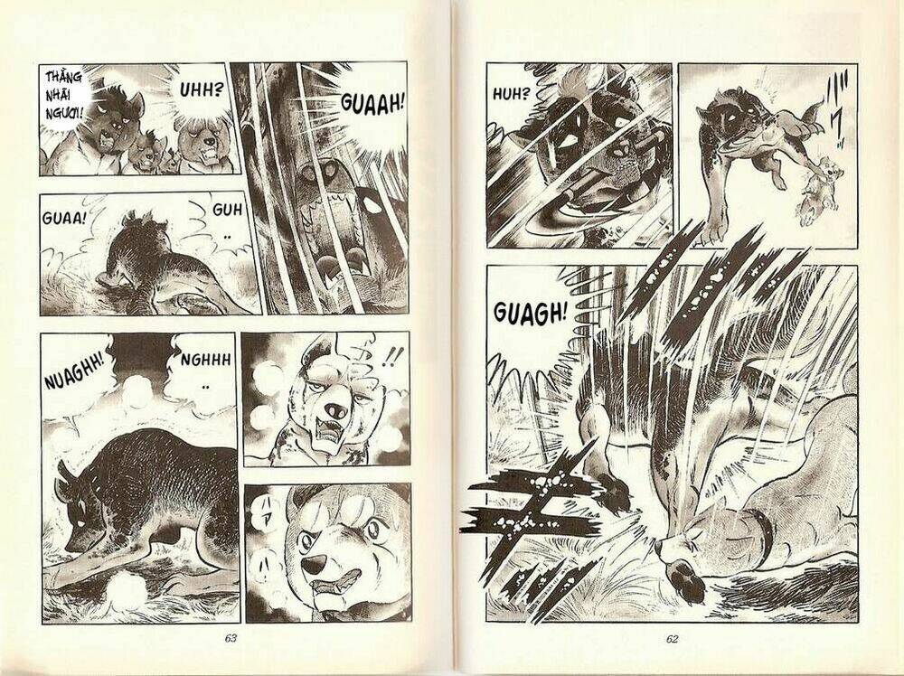 chú chó có nghĩa - ginga nagareboshi gin chapter 19 30