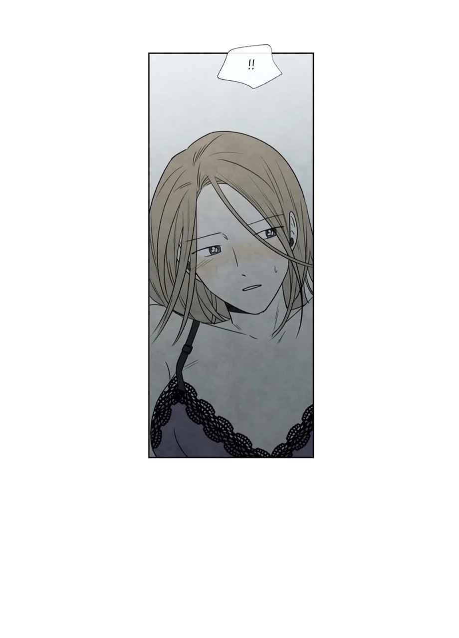 summer solstice point chapter 6 6