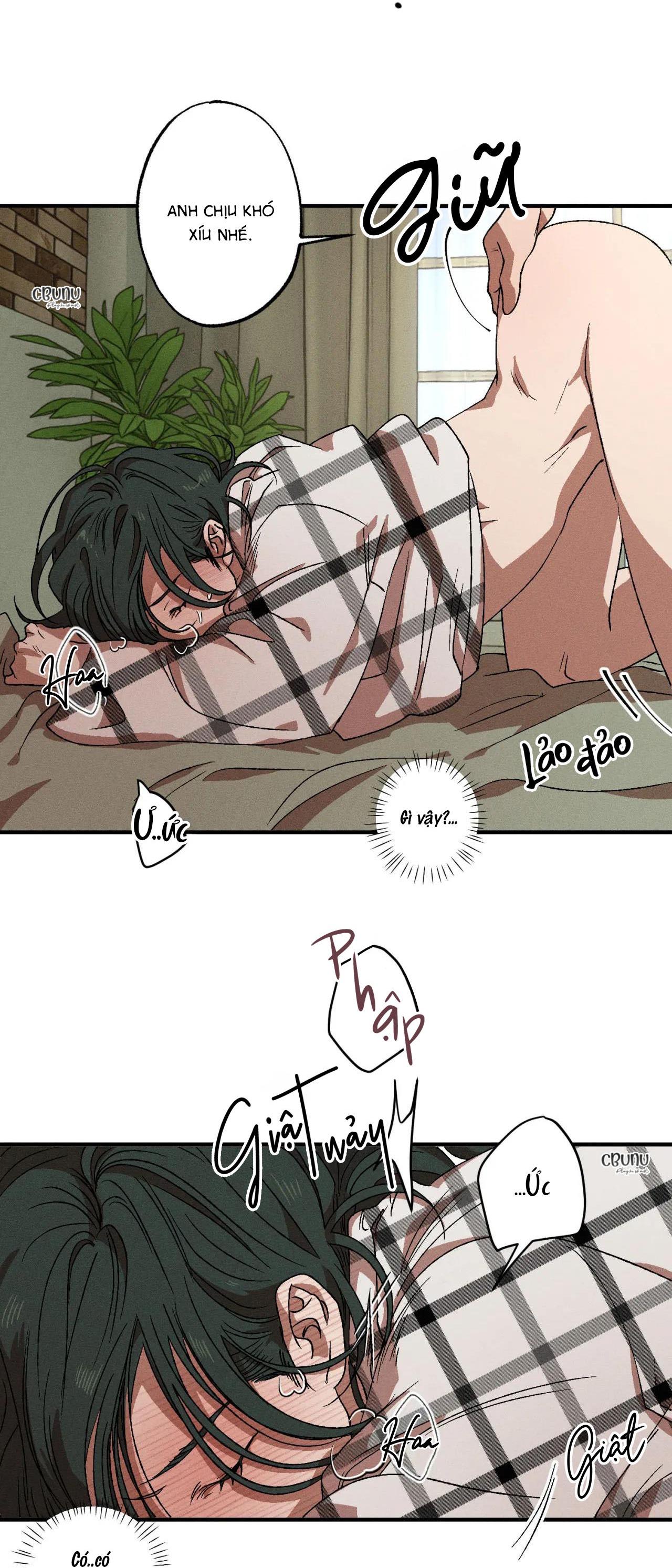 bẫy đôi ngọt ngào chapter 37 7