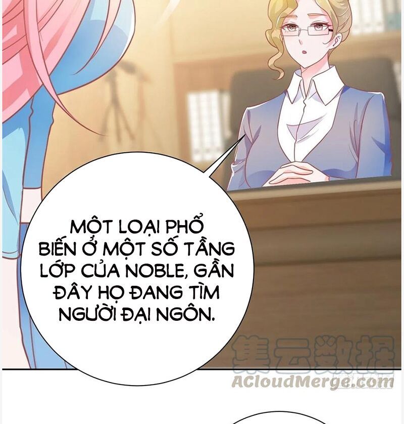 ẩn hôn 100%: chọc tức vợ yêu mua một tặng một chapter 154 14