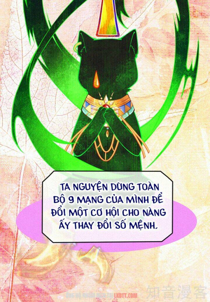 xuyên đến ai cập : trở thành cô dâu của vương chapter 0 19
