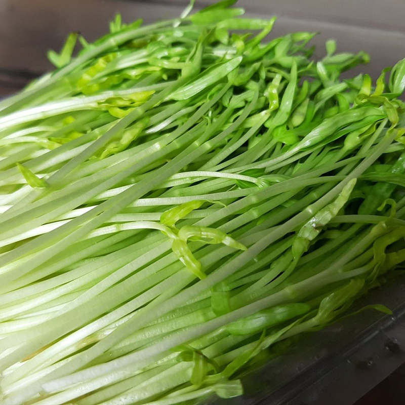 Hạt Giống Mầm Rau Muống