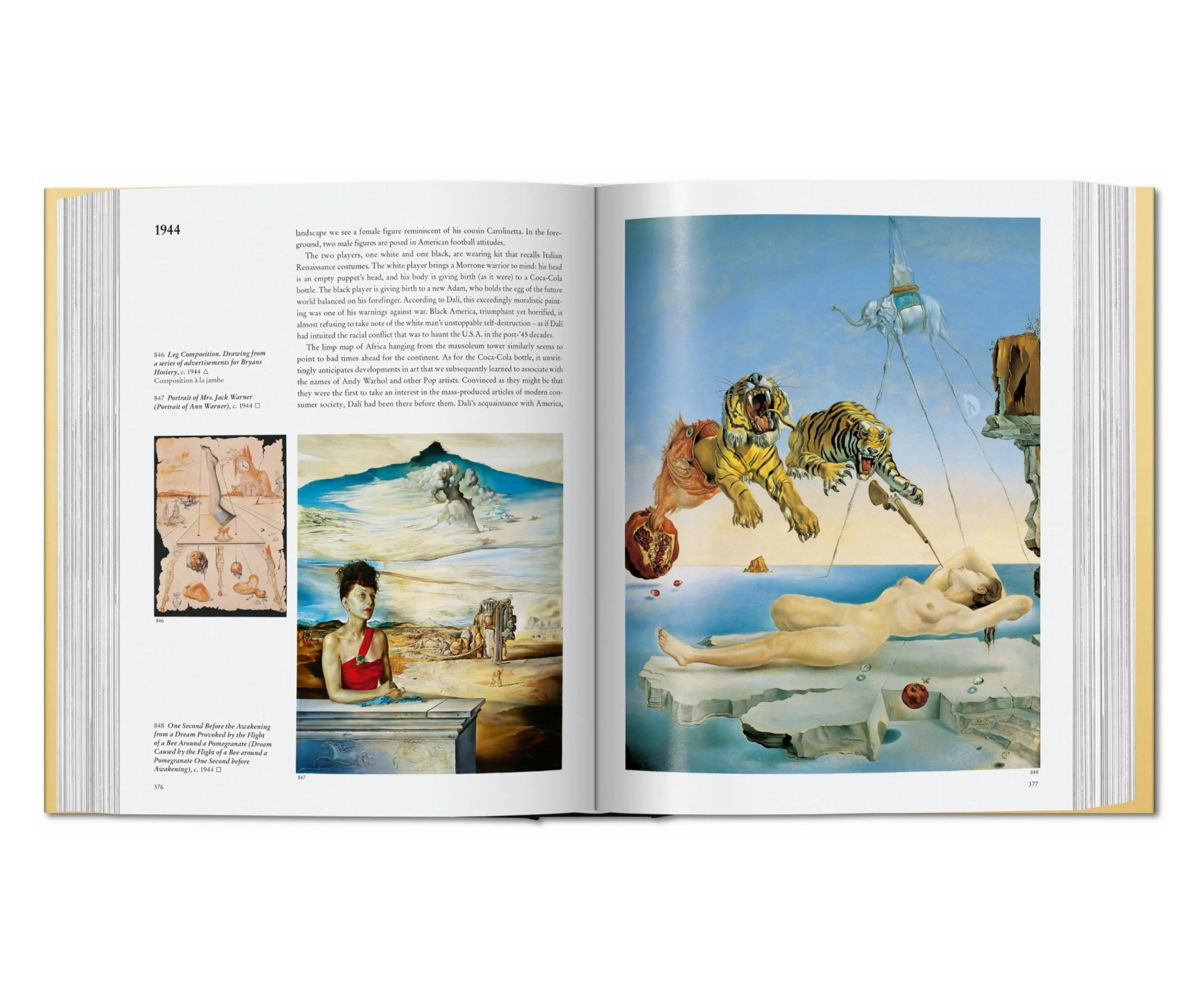 Artbook - Sách Tiếng Anh - Dalí: The Paintings