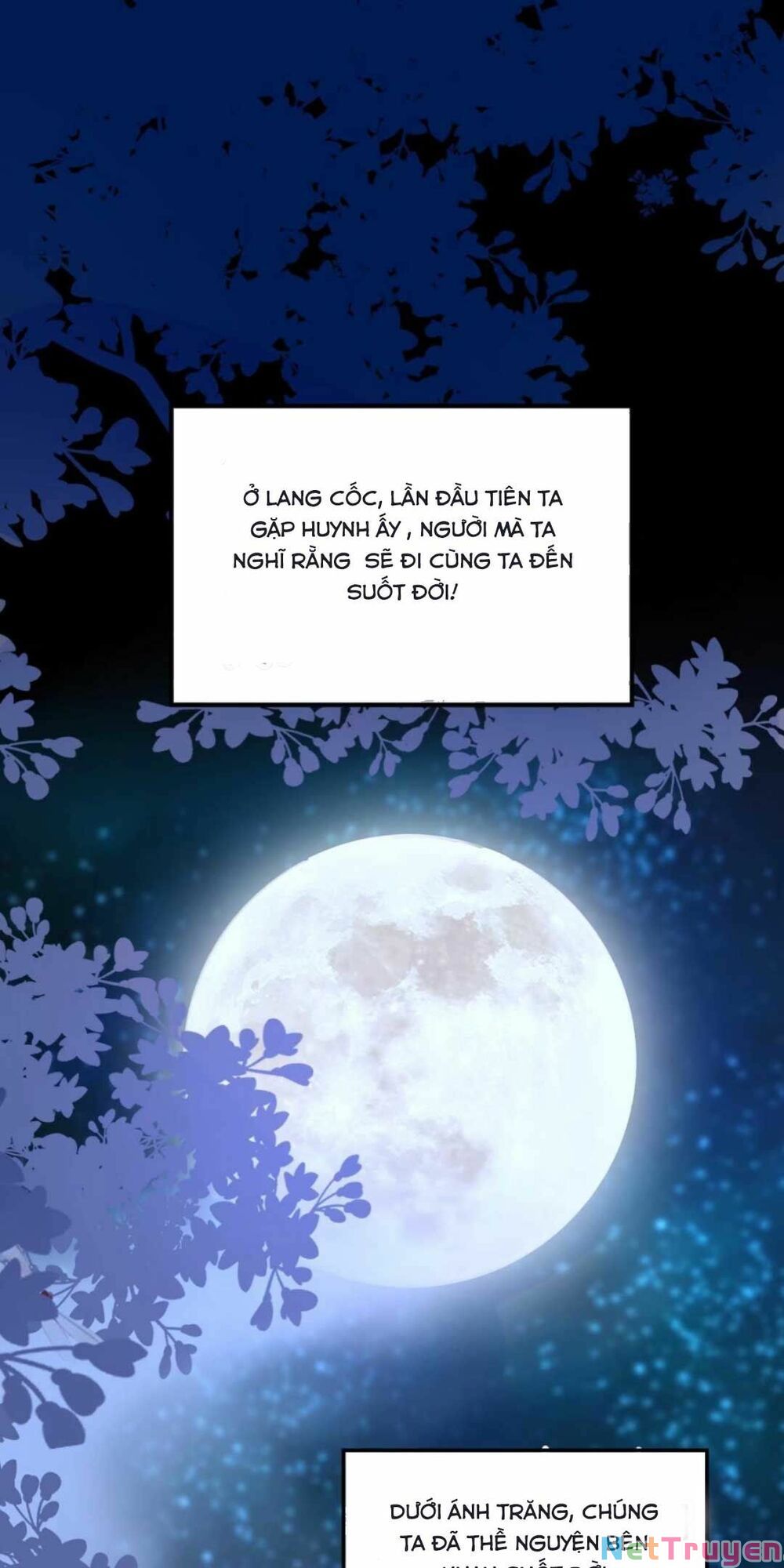 sự trả thù của vương phi chapter 1 1