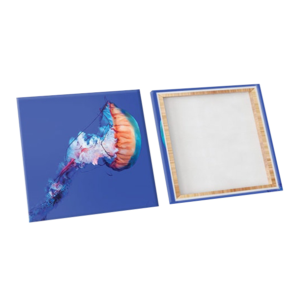 Bộ 3 Tranh Tranh Trí "Sứa Biển"- W200
