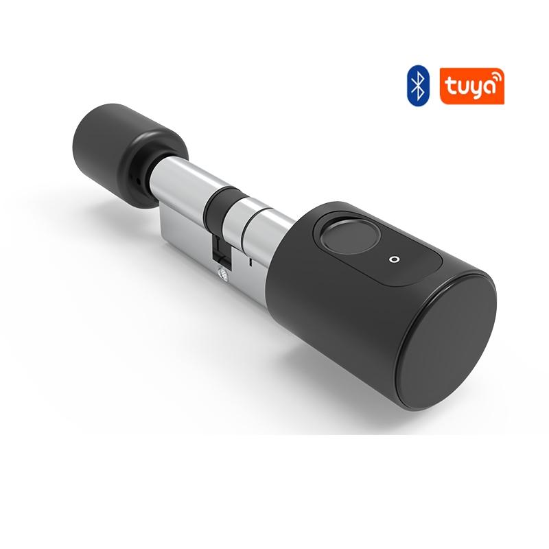 Trụ Khóa Thông Minh Tuya Bluetooth Châu Âu Sinh Trắc Học Vân Tay Thẻ RFID Chìa Khóa Ứng Dụng DIY Có Thể Điều Chỉnh Kích Thước Lõi Khóa Cửa Điện Tử