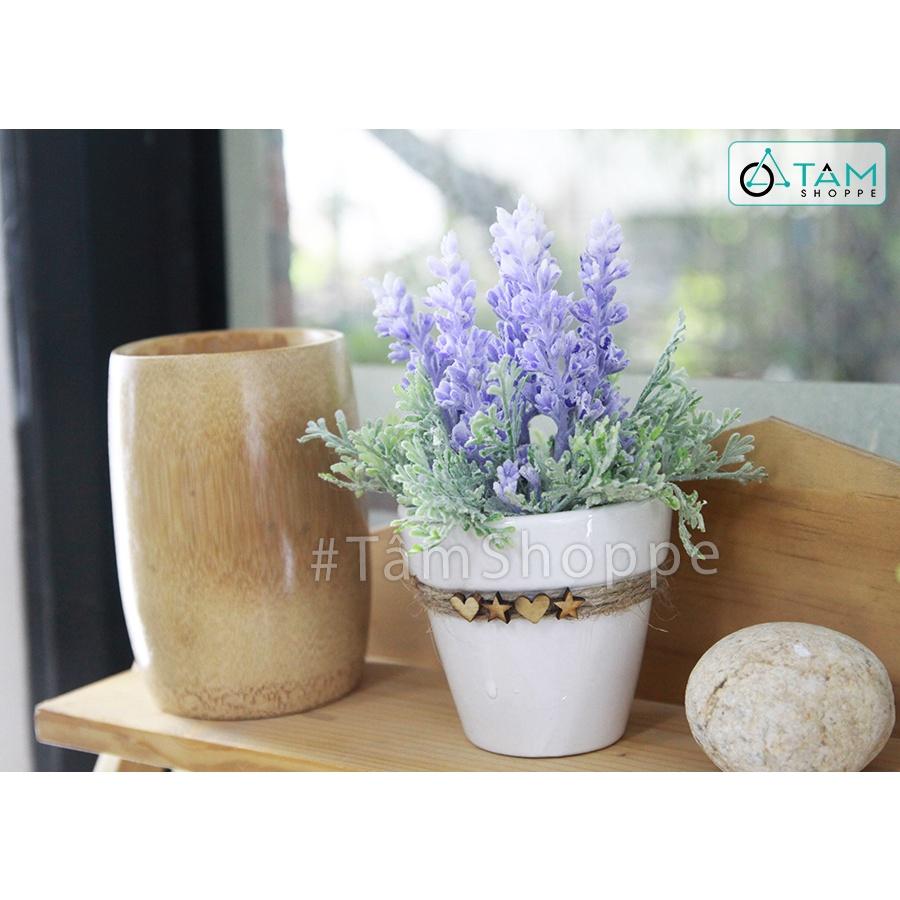 Chậu hoa lavender giả đề bàn tim sao gỗ CHDB-103