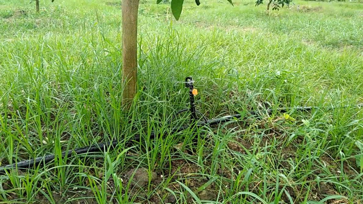 BỘ 10 BEC PHUN MƯA TƯỚI GỐC G7