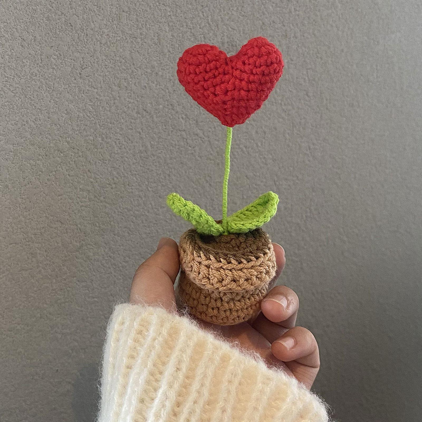 2x Handmade DIY Beginner Crochet Kits for Adults and Kids Starters