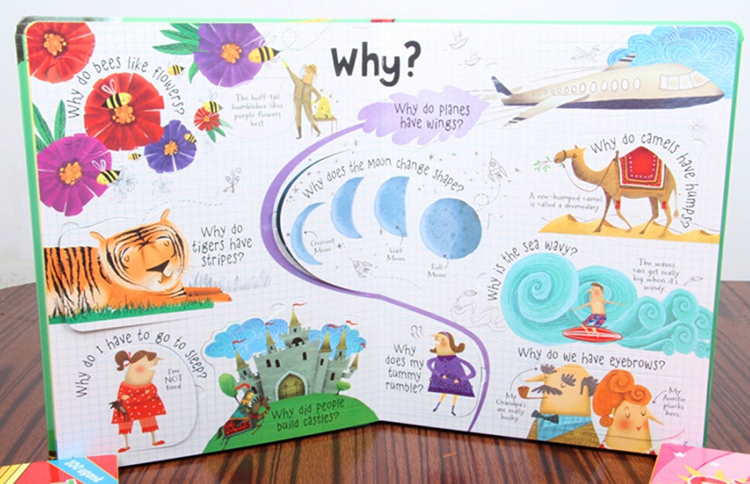 Usborne Lift-the-flap Questions and Answers