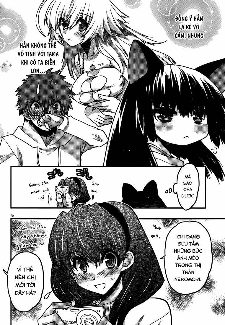 tamanyan chapter 6 26