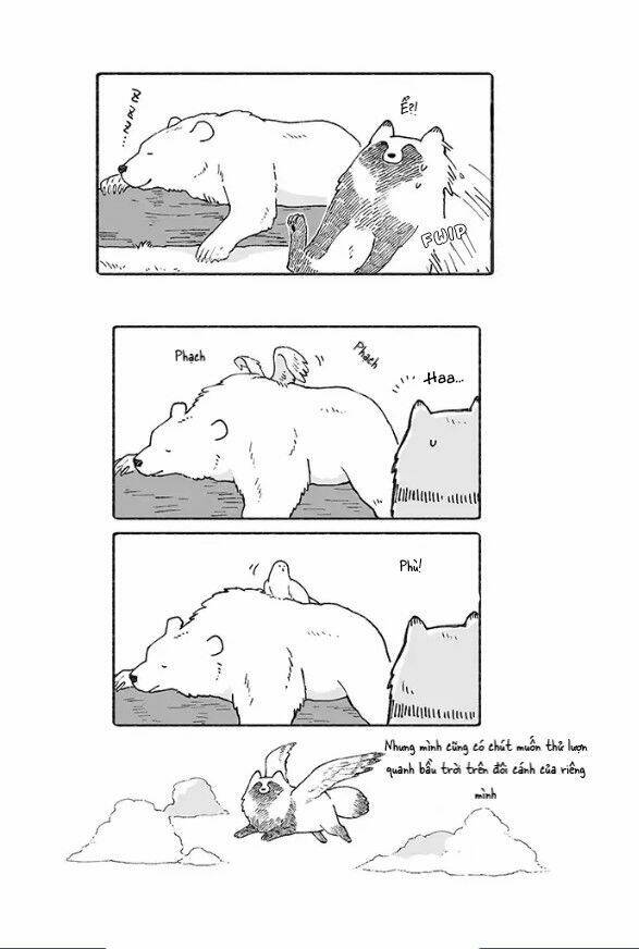 gấu và tanuki chapter 4 4
