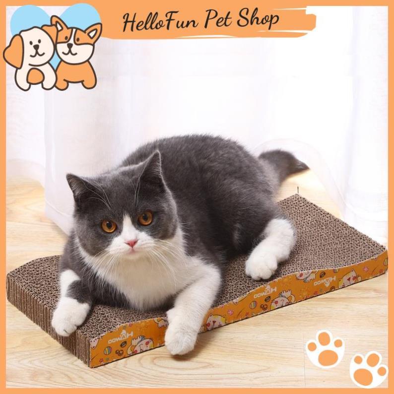 Bàn cào móng cho mèo tặng kèm cỏ bạc hà Catnip
