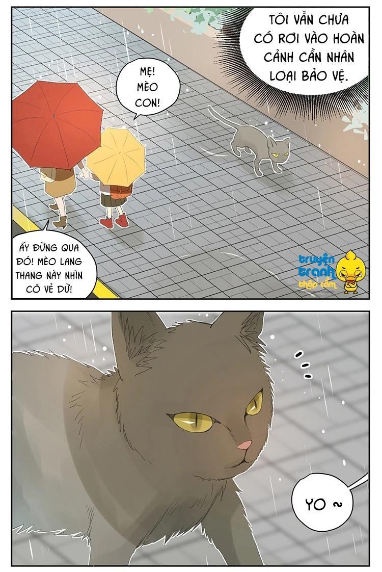 cứu mạng ! loài mèo thống trị thế giới rồi ! chapter 25 12