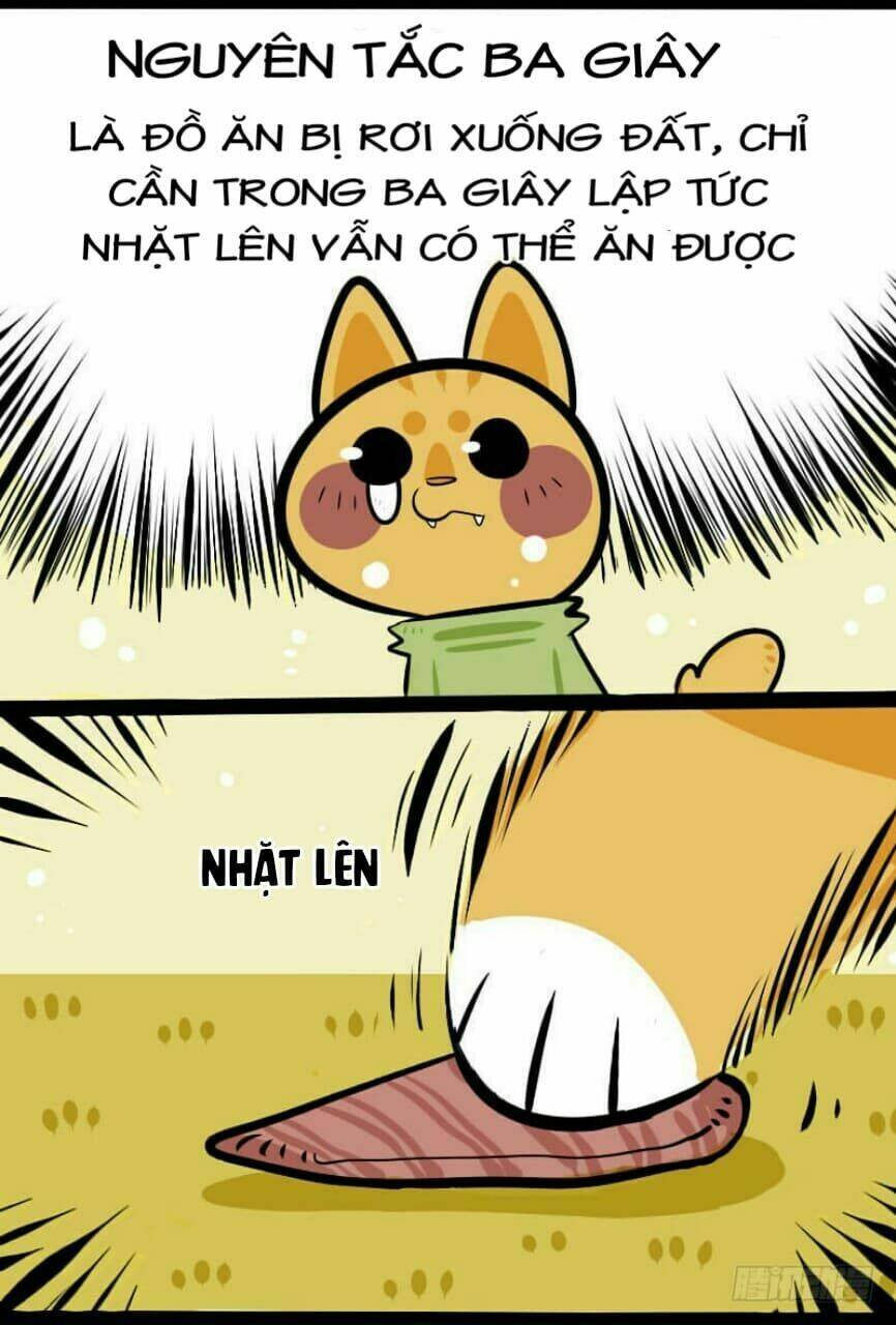 đời không như mình tưởng chapter 3 7