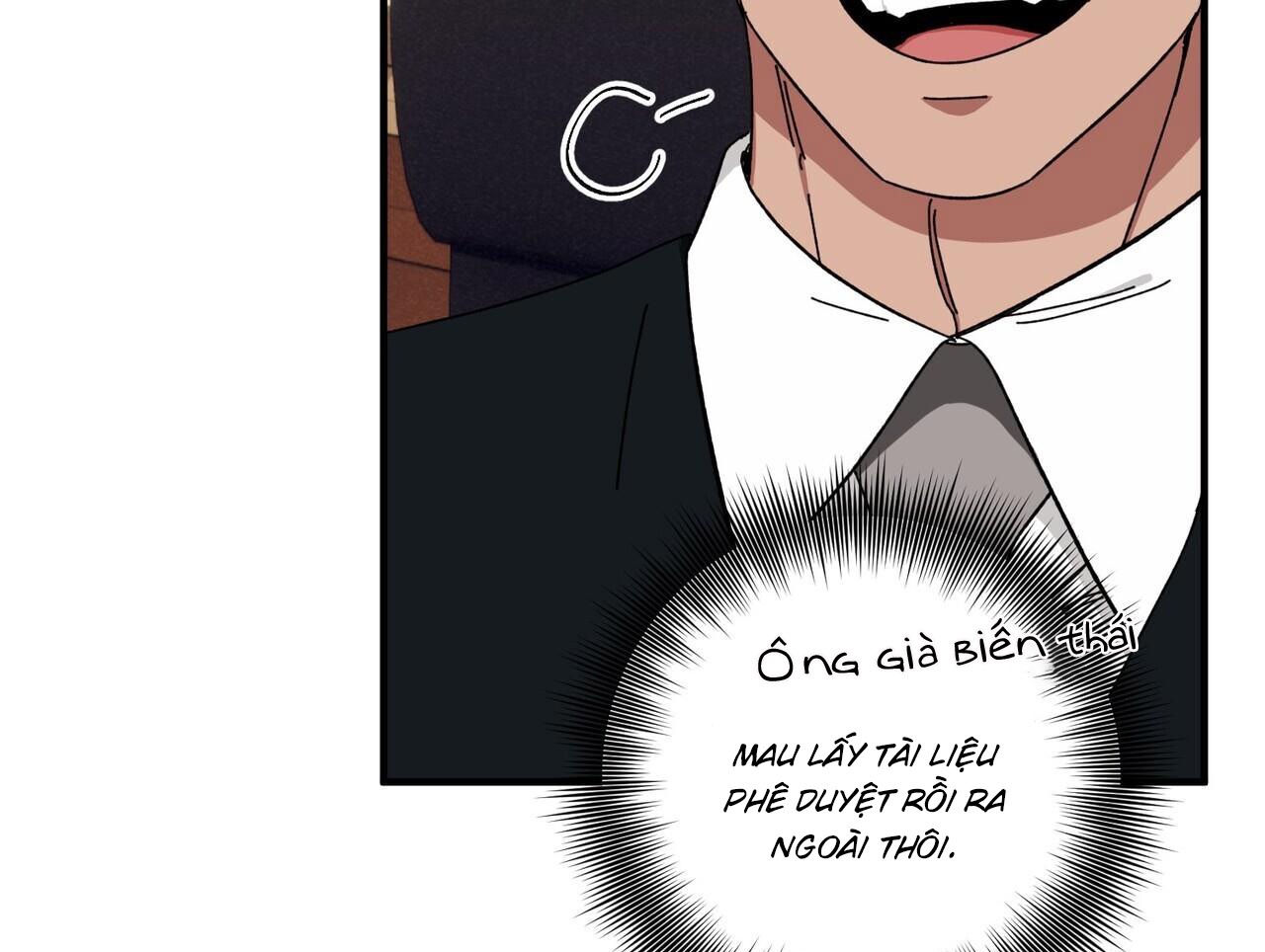 chàng dâu nhà họ kang chapter 37 100