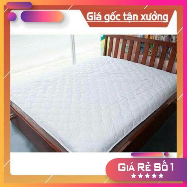 Bảo Vệ Nệm cotton Cao Cấp Màu Trắng Đủ kích thước