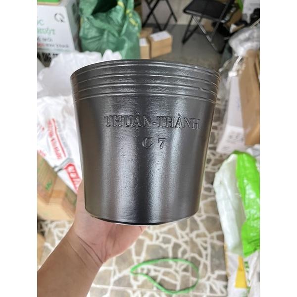 Chậu nhựa đen C7 dày đầy đặn dùng trồng cây