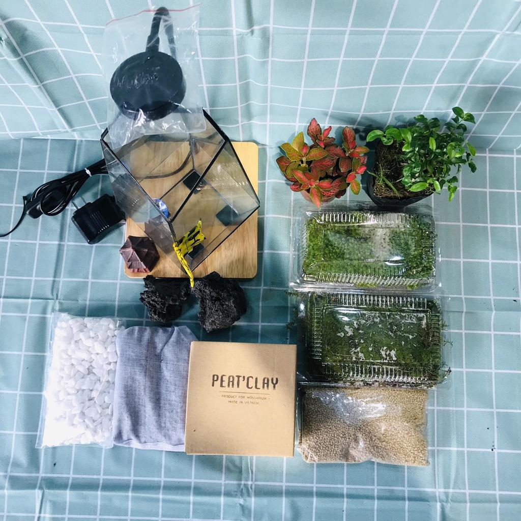 COMBO TỰ SET TERRARIUM-VƯỜN NHIỆT ĐỚI