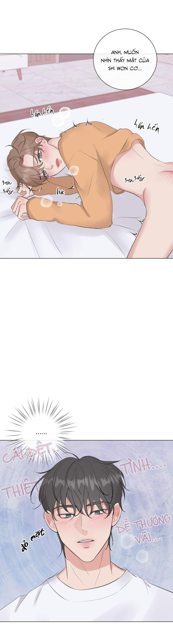 người yêu hiếm hoi chapter 12 22