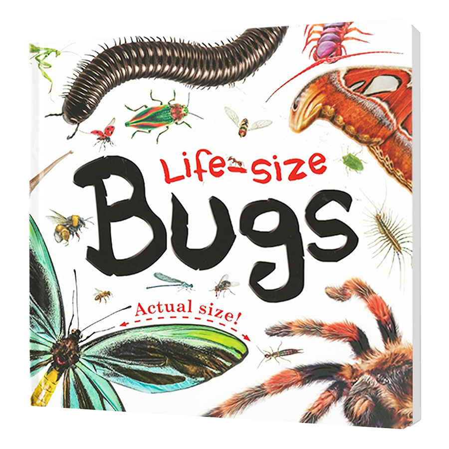 Life-Size Bugs